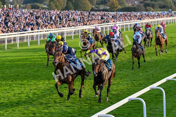 111025-Race 7-Lets Dream-0714 - Race 7 Coral 'Committed To Safer Gambling' Finale Handicap at York