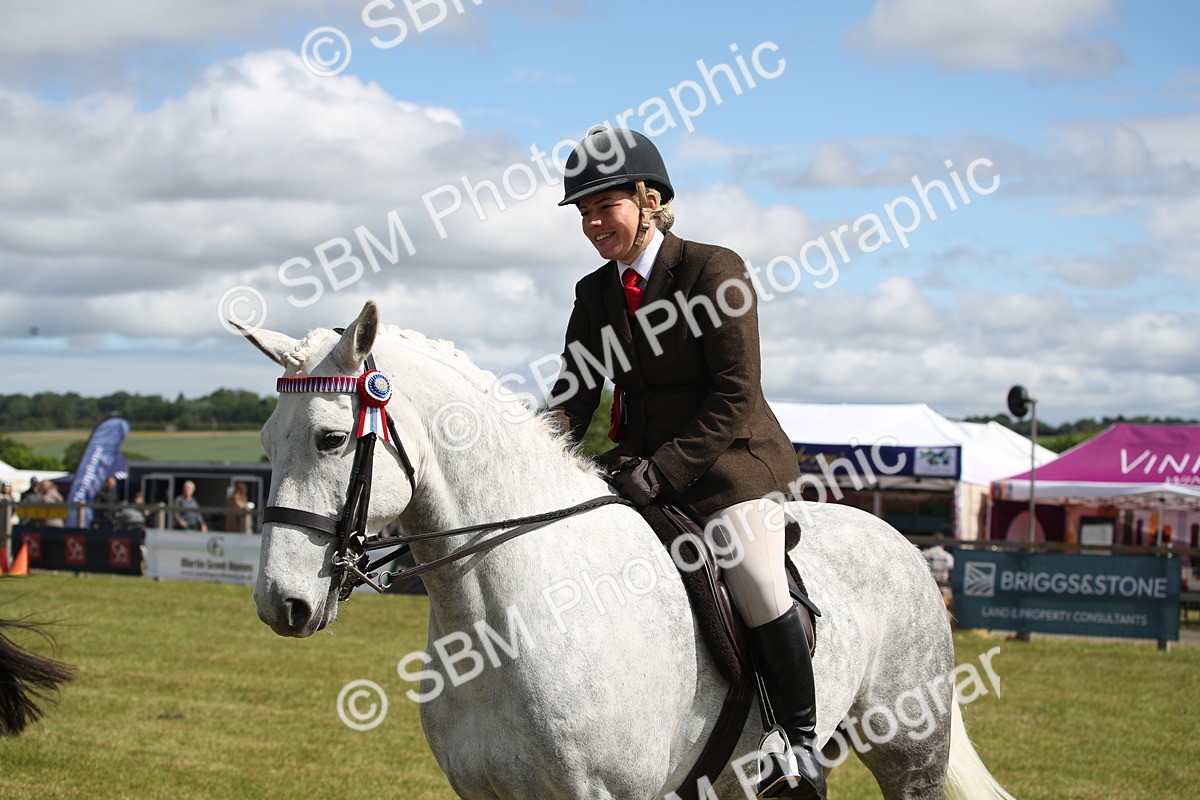 SBM_13331 - Class 95-96 - LIHS BSHA Rising Star Hack Riding Horse