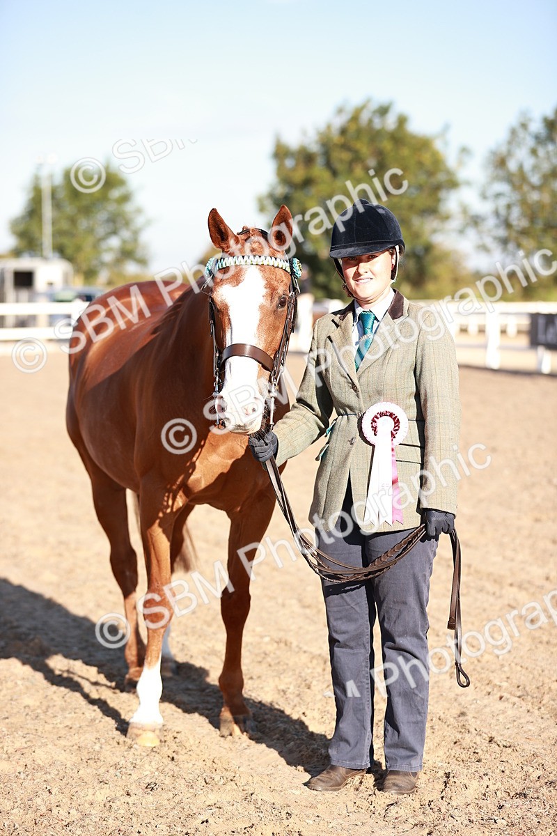 SBM_11231 - Class 401 - IH  Veteran horse