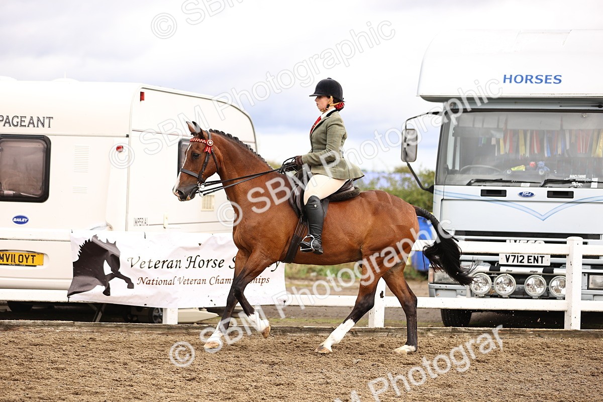 SBM_00596 - Class 53 - Ridden Competition Horse Pony