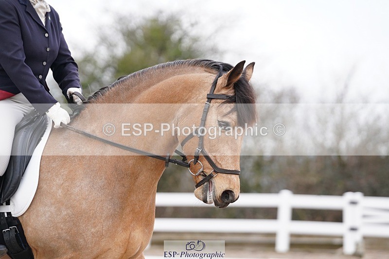 250322-091244-00034 - DR Prelim 1 Test