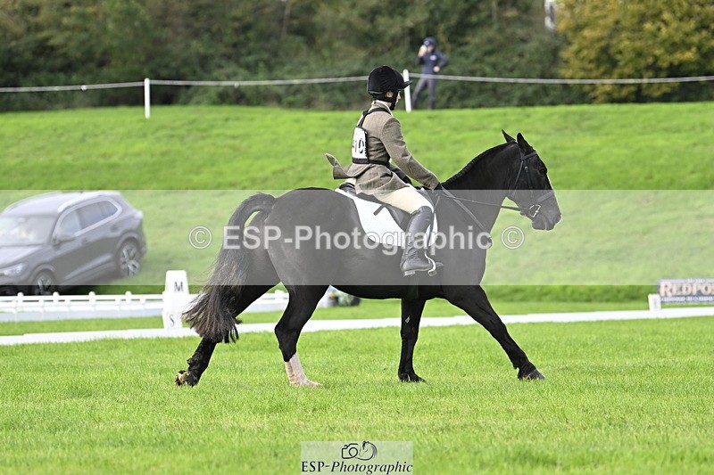 251023A-110115-02986 - F-410-Kt.English-Baillie