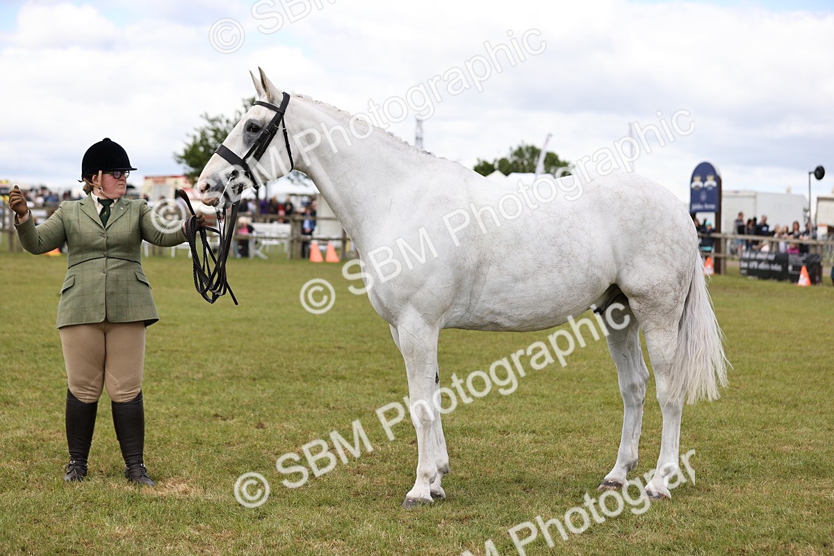 SBM_14738 - Class 88-89 - LIHS BSHA Rising Star of Ridden Hunter Type