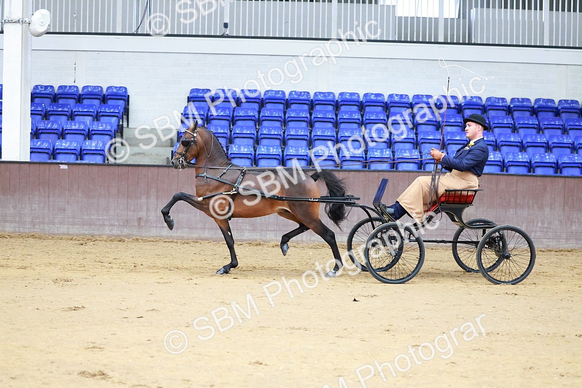 SBM_000642 - Class 9 - HHS Championship Intl Hackney Pony to a Showwagon