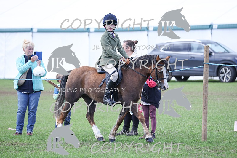 APP_4139 - Class 15a/b Pony club pony/Riding club horse