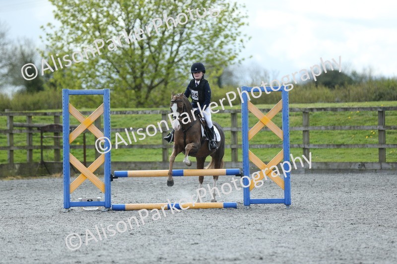 20260412-1740 - Show Jumping