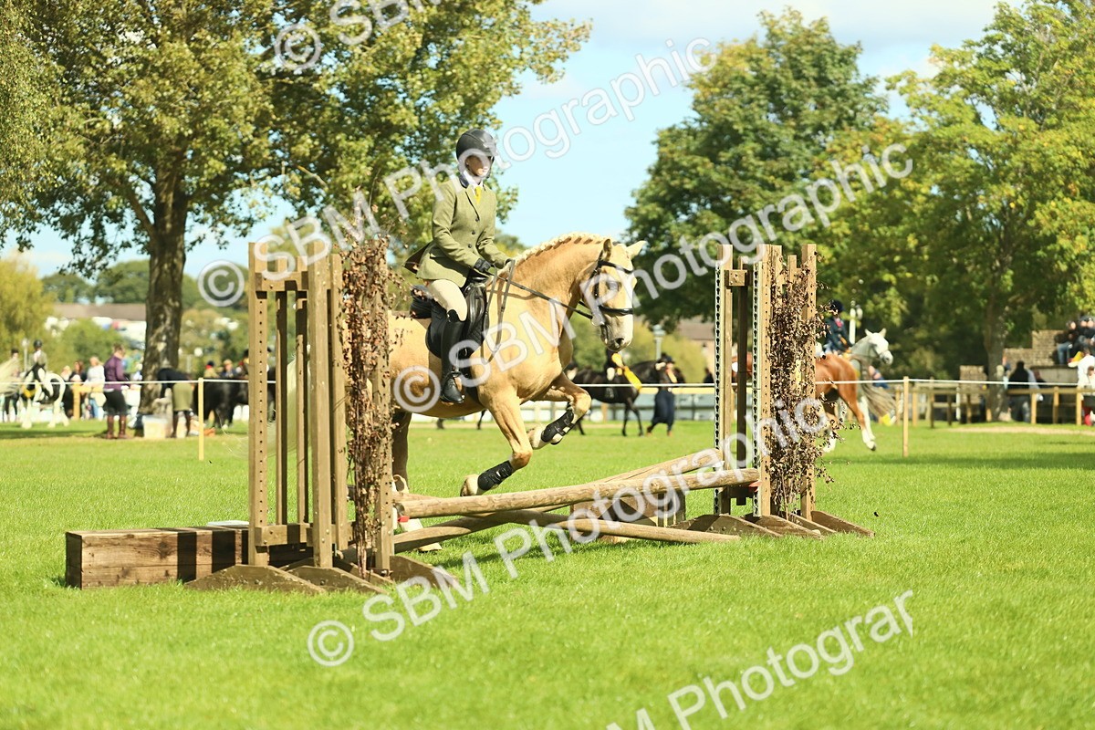 SBM_42112 - S29 - Novice & Newcomers Working Hunter Pony
