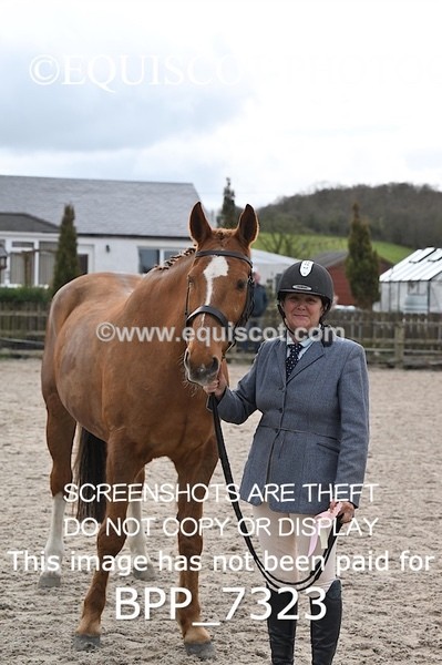 BPP_7323 - RING 1  (RIDDEN HORSES / IN HAND / VETERAN ETC)