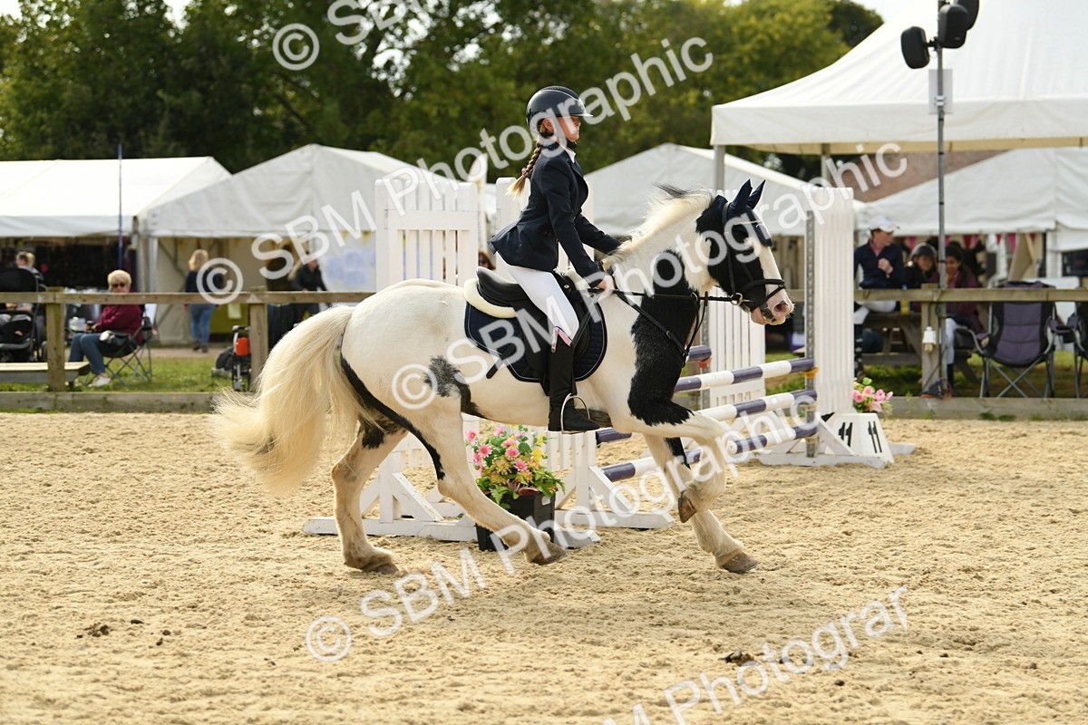 SBM_71064 - J15 - Junior Pony 70cm Championship