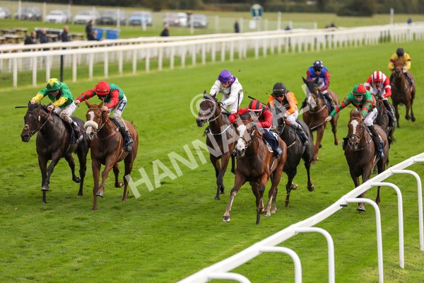 131023-Race 4-Hafeet Alain-9808 - Race 4 3.50pm William Hill Autumn Mile Handicap