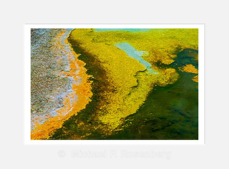 Thermal Color - Natural Abstracts