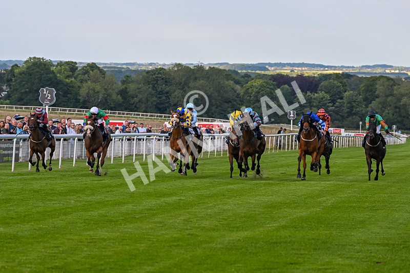 220724-Race 4-Alices Impact-1779 - Race 4