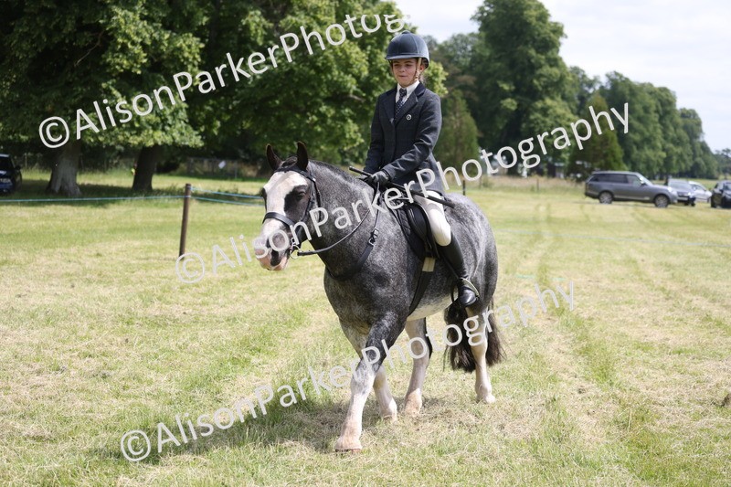 20260614-1988 - Class 21 - Novice Working Hunter Pony