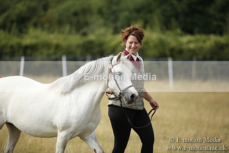 _C7A9227 - BVRC Sow 2018 Ring 2