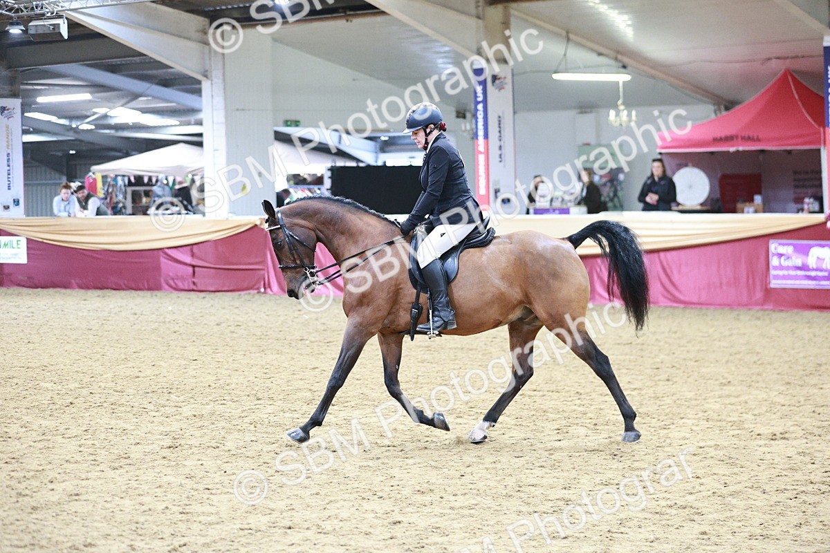 SBM_03417 - Class 6A Area Ridden Pre-Vet