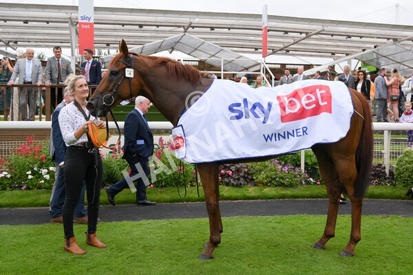 yr24072021r2-32 - Race 2 2.40pm Sky Bet Dash