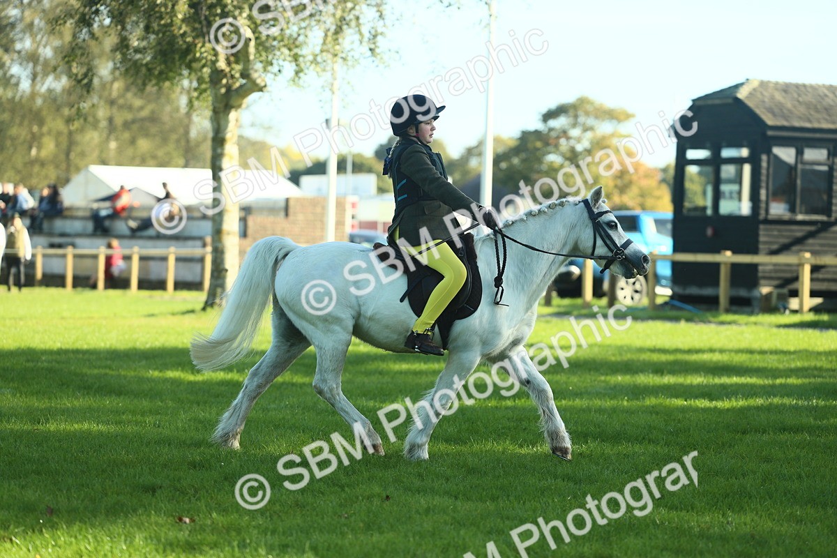 SBM_36296 - S29 - Novice & Newcomers Working Hunter Pony