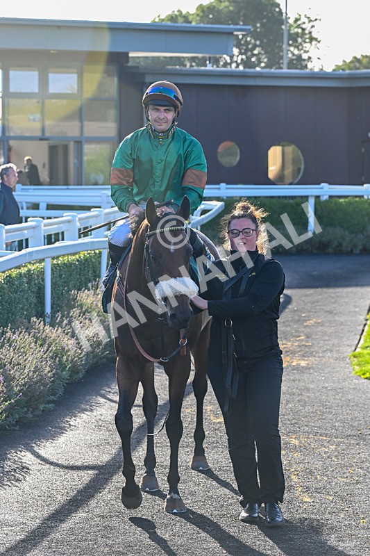 080926-Race 7-Military Girl-3369 - Race 7 5.21pm RMG Proudly Supports Teenage Cancer Trust Handicap