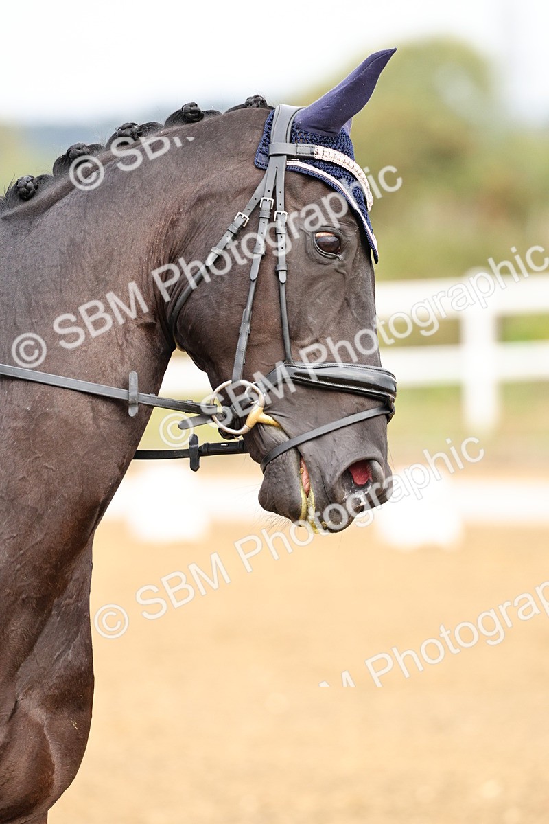 SBM_011386 - Class 1 - Prelim 4