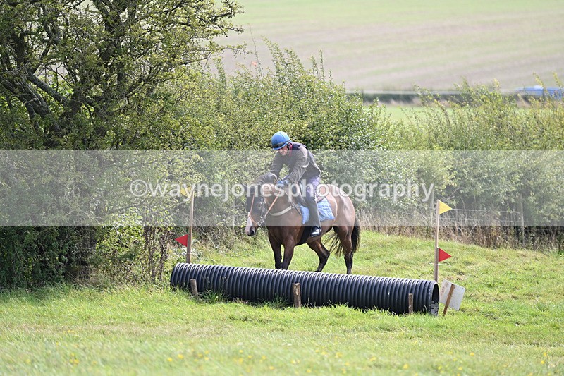 WJ6_8308 - Time 12:18 to 12:59