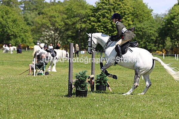 IMG_3520 - Working Hunter