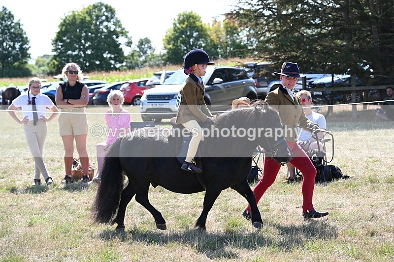 WJ6_7723 - Class 36 Lead Rein