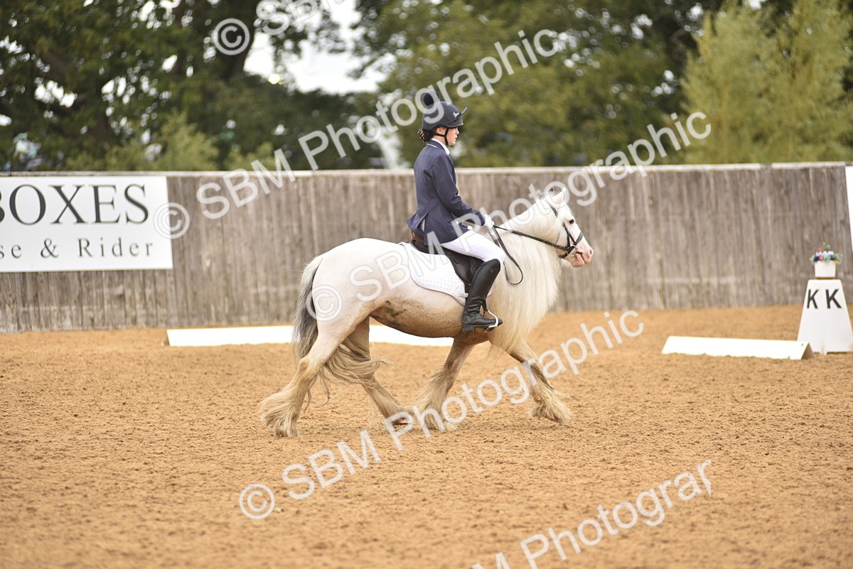 SBM_42350 - D22 - Junior Championship Intro 3