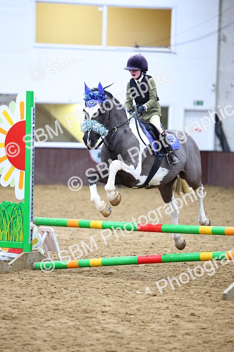 SBM_001250 - Class 3 - Christmas Tree Stakes - 60cm