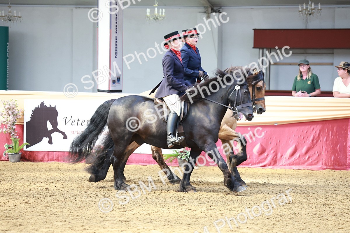 SBM_15538 - Class 109 - Ridden Pairs -Section A