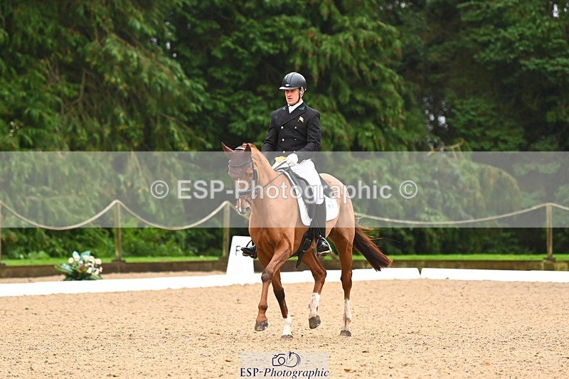 231021-104019-14498 - 231-ROUGE.ANGEL-Fred.Scala-DR