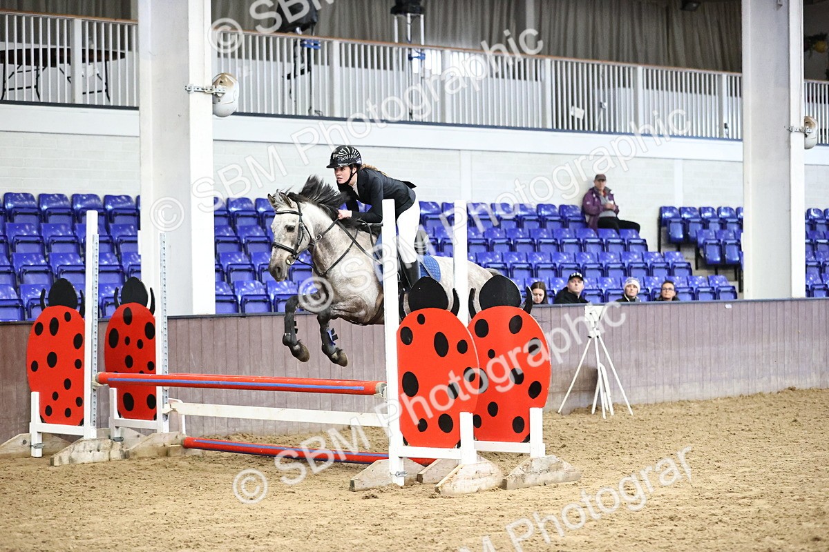 SBM_001453 - Class 9 - Pony British Novice 80cm