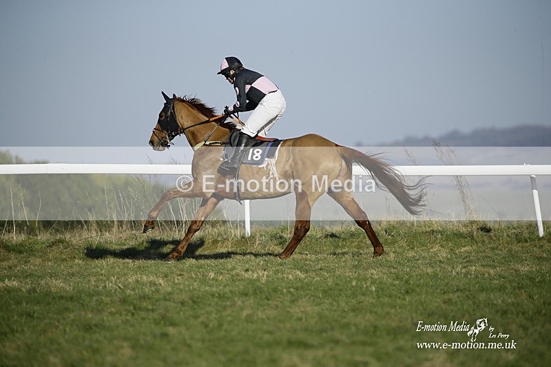 PtP 270222 263 - South & West Wilts Point-to-Point Larkhill 27/02/22