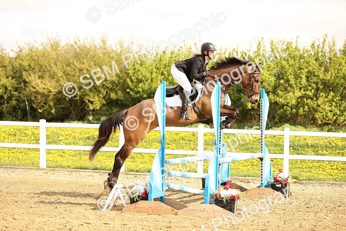 SBM_001750 - Class 9 - Senior British Novice - 90cm