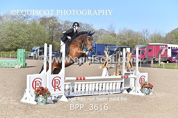 BPP_3616 - CLASS 1 FRI Club/ Unaffiliated 80cms Open