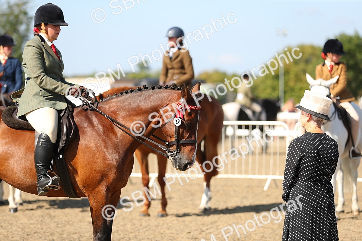 SBM_02325 - Class 43 Ridden Competition Horse/Pony