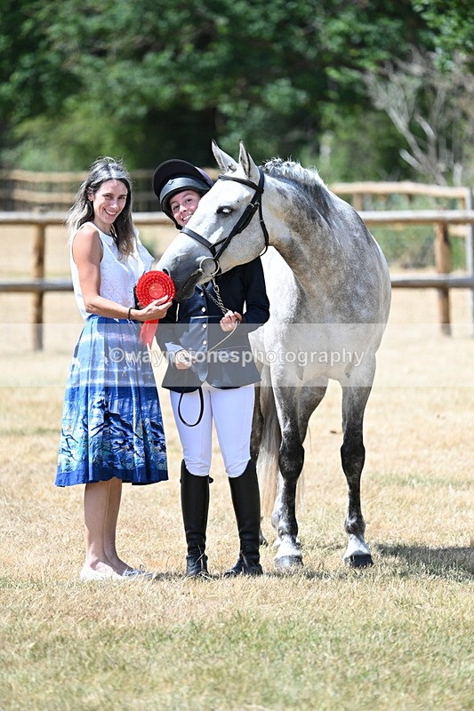 WJ7_2025 - Class 4a Prettiest Mare 14.2hh and over hand