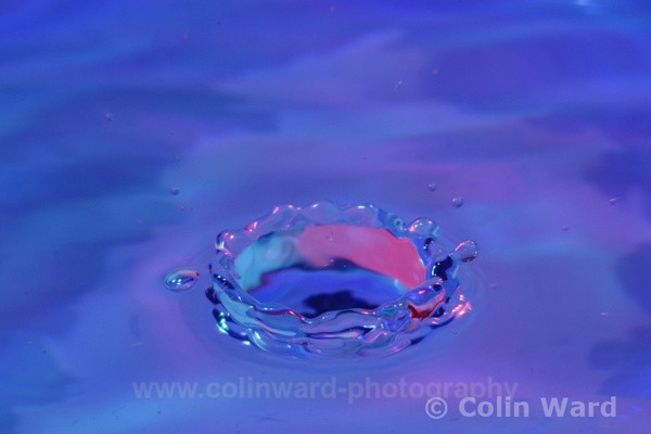 Splash of Colour. Ref 3735 - macro and nature.