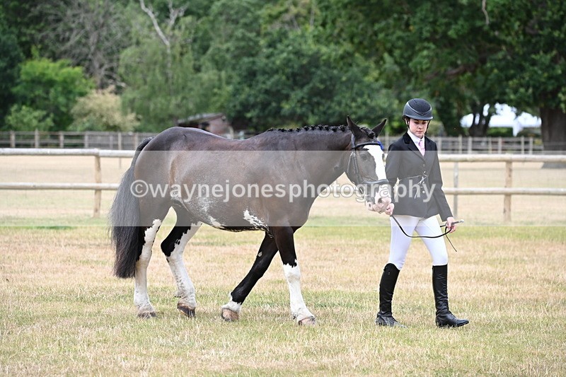 WJ6_4549 - Class 10 Coloured In-hand