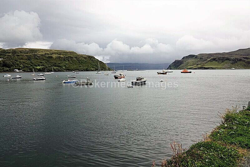 DSC07873 - SEPT 2020 STAYCATION