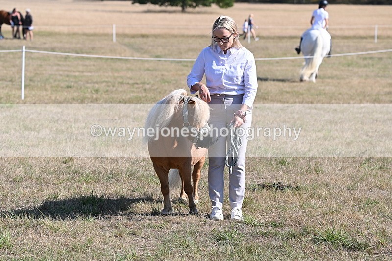 WJ6_7365 - Class 33 Rescue Pony