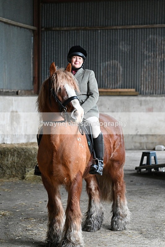 WJ7_8668 - Berks & Bucks - Rowles Farm 15-02-26