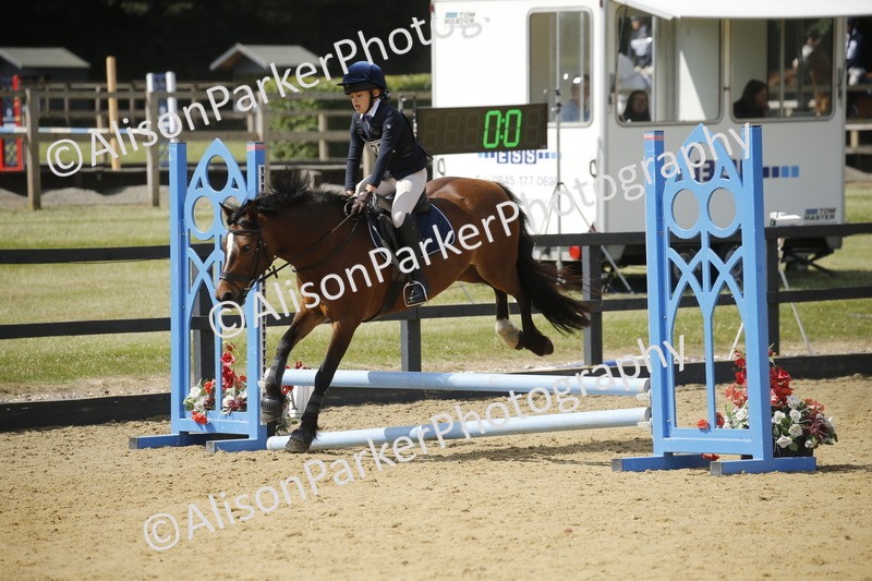 20250622-3871 - 50cm