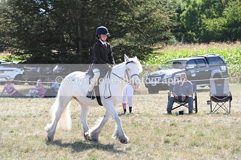 WJ6_8976 - Class 38 Ridden Riding Horse/Pony