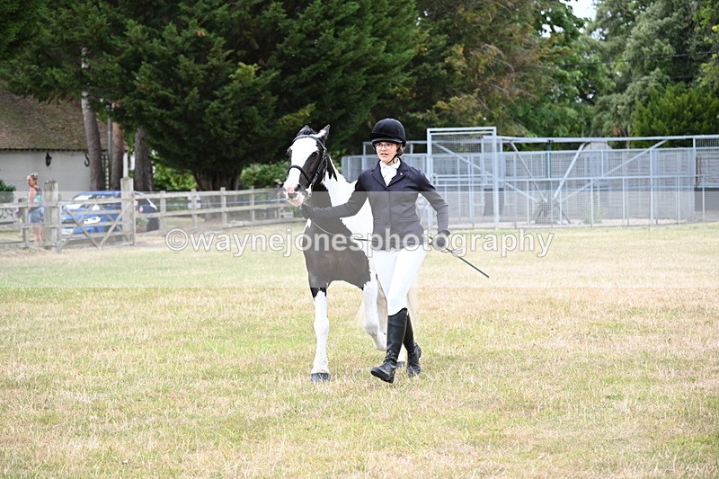 WJ6_4256 - Class 10 Coloured In-hand