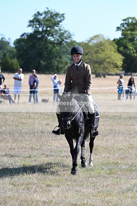 WJ7_3780 - Class 9 Mountain & Moorland Ridden
