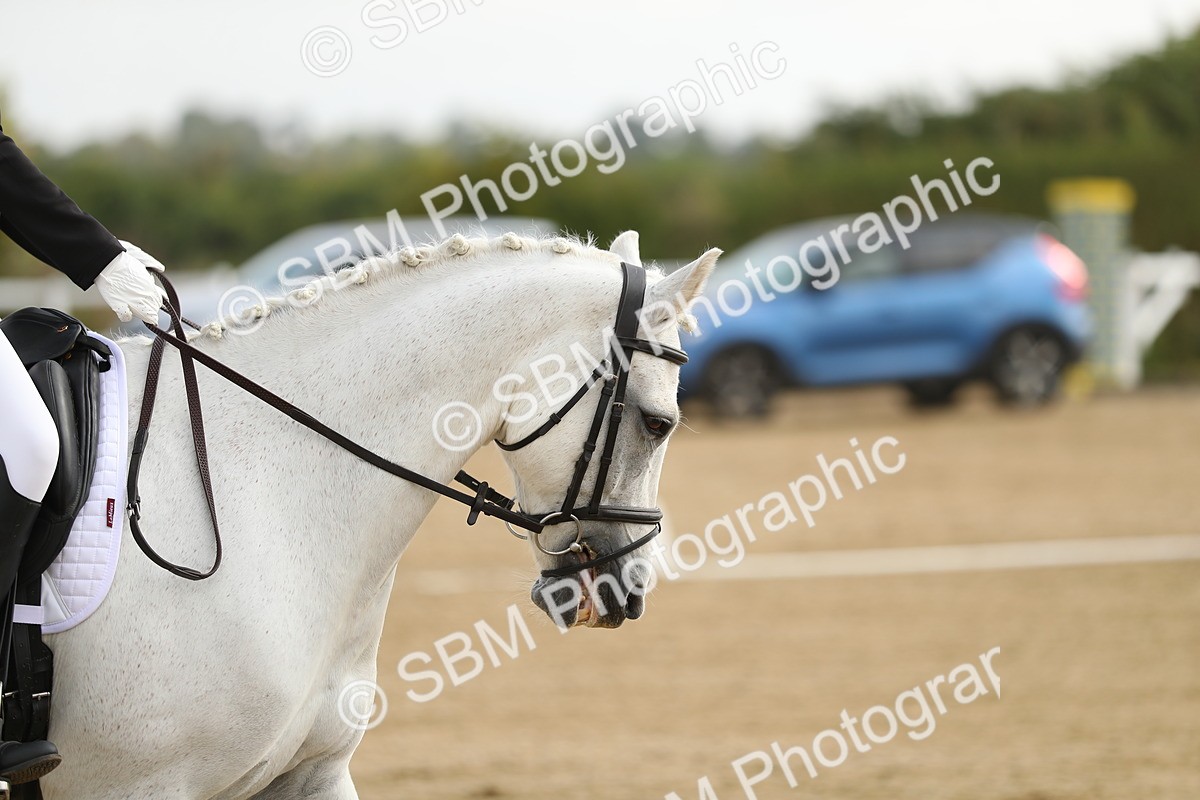 SBM_015511 - Class 13 - Novice 23 - 9.54-11.04