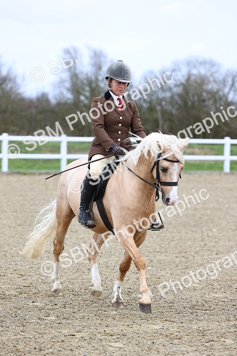 SBM_006841 - Class 29 - 30 - M&M Pure Novice Small-Large Breeds
