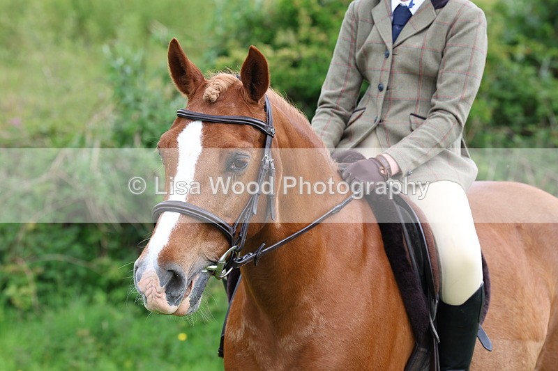 3E7A1831 - Class 9: Riding Club Horse/Pony