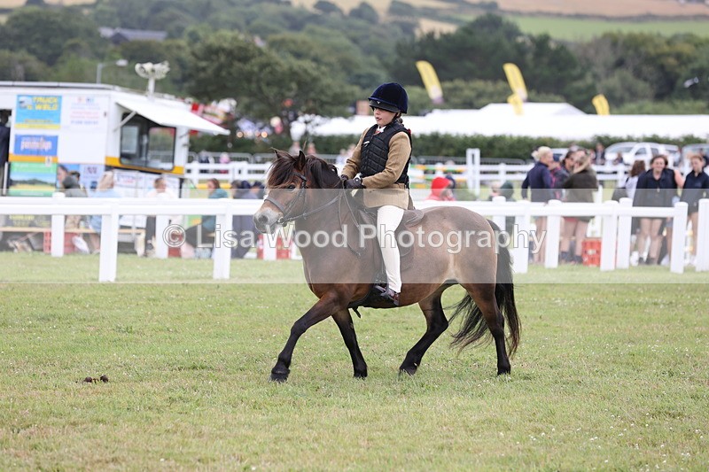 JPP_1765 - Class 18: Tiny Tots Working Hunter Pony