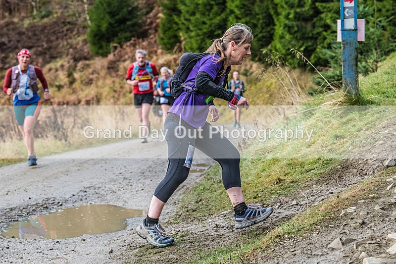 Glentress 21  10K-436 - High Terrain Events Glentress 21 & 10K Trail Races Saturday 16th November 2024